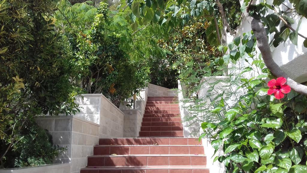 Lastovo Apartments Livia מראה חיצוני תמונה